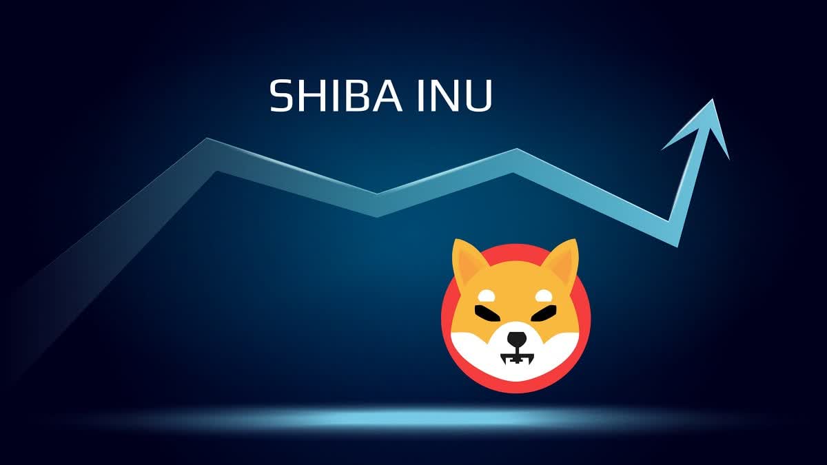 Shiba Inu es una criptomoneda basada en memes de monedas (SHIB) que lleva el nombre de una raza de perro